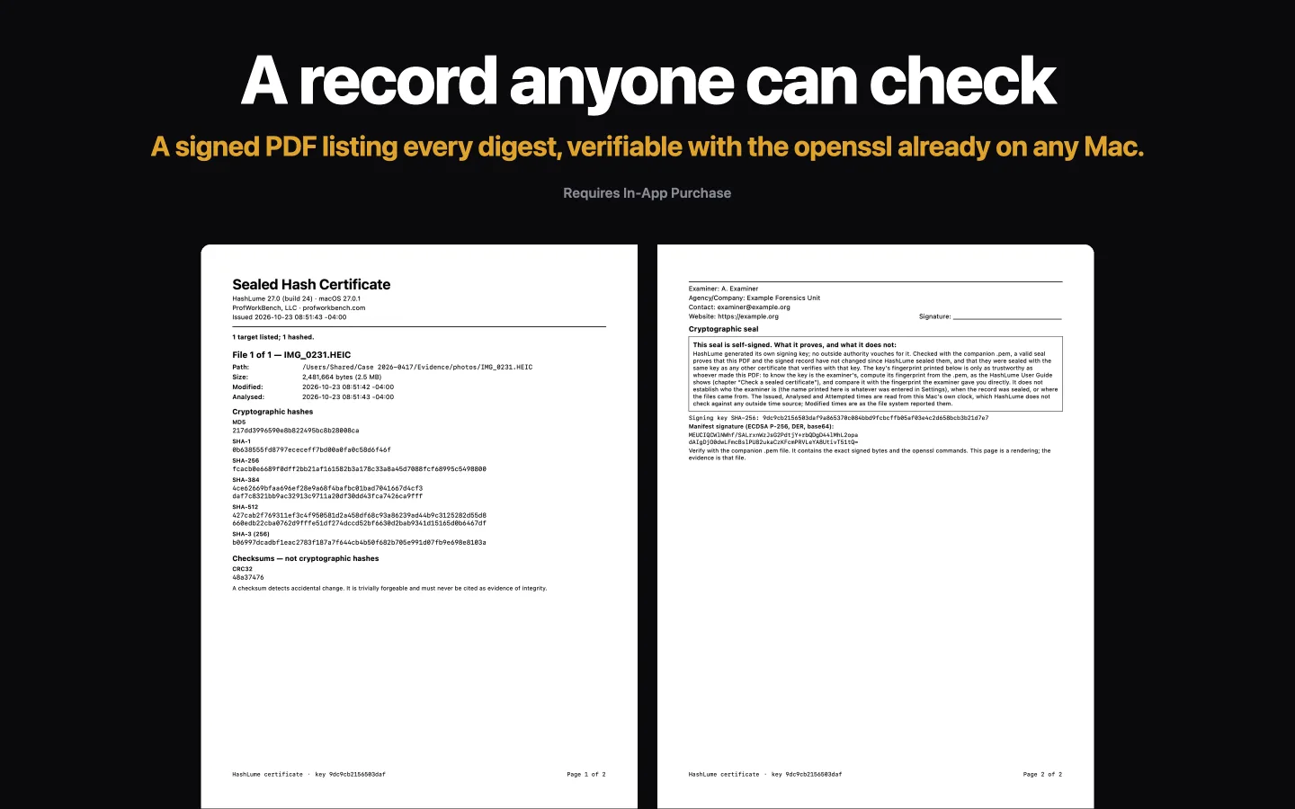 The two pages of a HashLume Sealed Certificate: digests for one file, then the examiner details and the box explaining what the seal does not prove